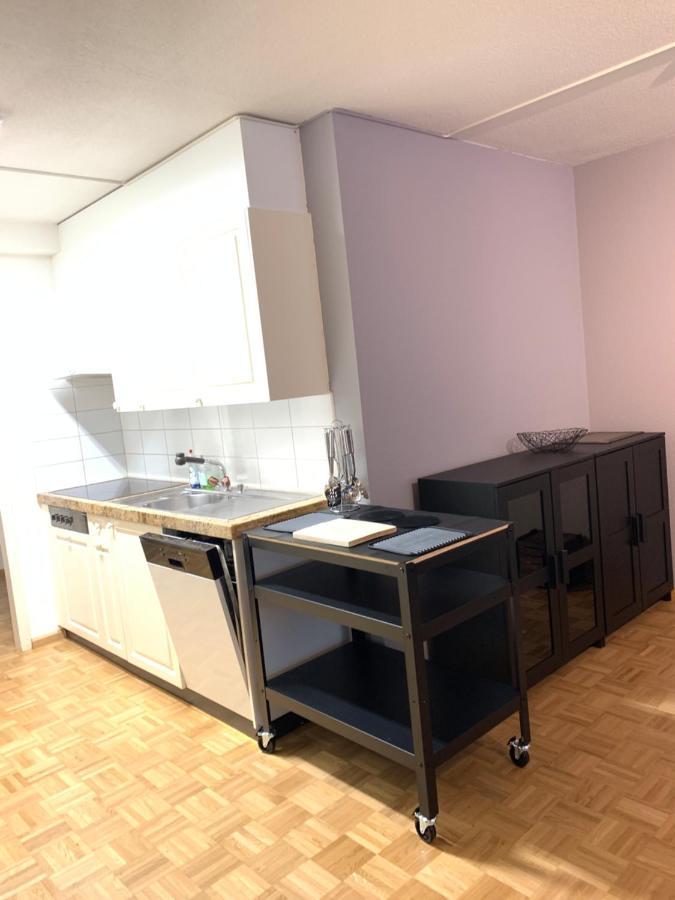 Xl City Center Apartment-Contactless Check-In Basel Exteriör bild